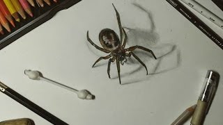 Как нарисовать паукаHow to draw a spider(Today I drew a spider  , because I'm afraid spiders.   Что-то настроение такое, только паучки в голову и лезут.. Кстати, безумно..., 2016-02-09T21:05:58.000Z)