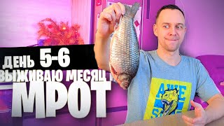 5 - 6 День 😱 Выживаю Месяц На Мрот (Гедза)