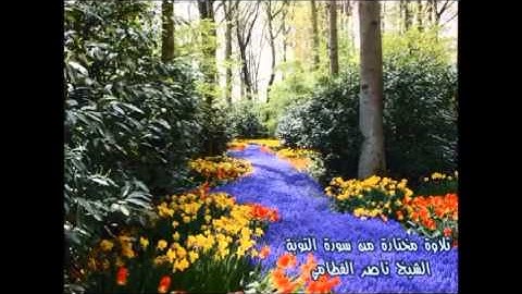 تلاوة مختارة ( من سورة التوبة ) الشيخ / ناصر القطامي