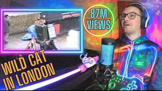 LEOPARD PRANK In Camden Town | Interneted TV Reacts
