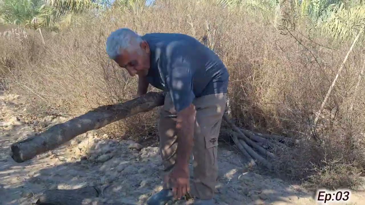The warmest garden in the world.Repairing a worn_out date palm fence_step by step
