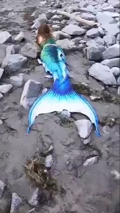 Real mermaid jalpari (real seen)🤔😱#shorts #viralvideo #jalpari