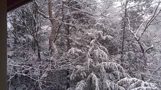 Cascading Waters Vacation Rental, Ellijay River, Ellijay, Ga - Sliding Rock Cabin Rentals