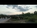 Asian Elephant group crossing the road