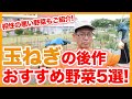 家庭菜園や農園の玉ねぎ栽培で収穫後の後作に相性の悪い野菜と相性の良いおすすめ野菜５選！【農園ライフ】