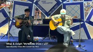 Whal & Dolph "สบายดีไหม (How r u?)" @ Siam Discovery X'mas Mini Concert