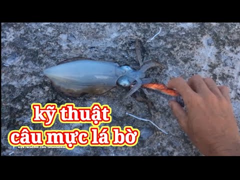 Video: Cách làm keo từ gạo: 7 bước (có hình ảnh)