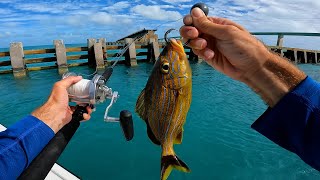 MultiSpecies Bridge Fishing The Florida keys  Catch, Clean, Cook On The Water Snapper Snack