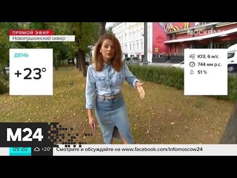 "Утро": переменная облачность и до 23 градусов тепла ожидаются в Москве 24 августа - Москва 24