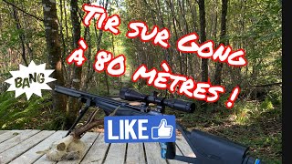 Tir sur Gong à 80 mètres avec ma Carabine Stoeger xm1 S4 suppression 4.5 mm 20 joules