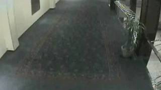 20100622-computer_theft_suspect_3_security_camera.mp4