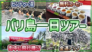 【超絶オススメ！】バリ島一日カーチャーター観光ツアー