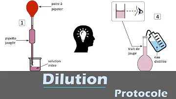 Comment rédiger un protocole de dilution ?