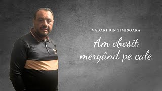 Vadari de la Timișoara - AM OBOSIT MERGÂND PE CALE (Offical Video 2025) 4K