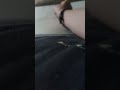 yay my first ever video