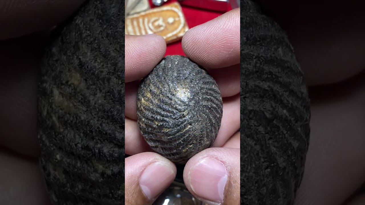 Ep 488 🔥องค์ละ 100 บาท🔥#สนใจโทรหรือแอดไลน์ 0966614848 ลงวันที่7.มี.ค.69