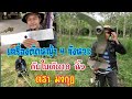 เครื่องตัดหญ้า 4 จังหวะกับใบตัด 18 นิ้วตรามงกุฎ