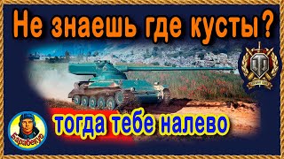 ЕСЛИ СОВСЕМ НЕ ЗНАЕШЬ КУСТЫ ▶ кривой путь лёгкого танка AMX 13 57 wot АМХ 13-57