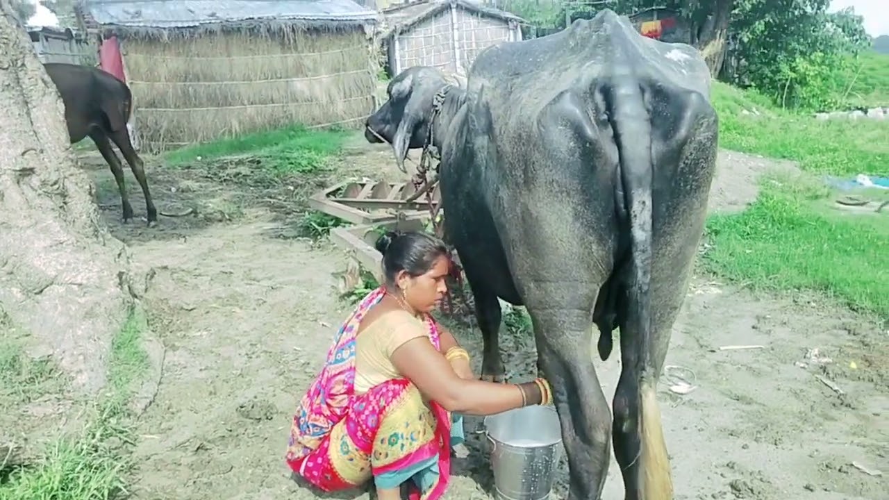 @refugiomental6818 🙏🙏😭🌹👌👍