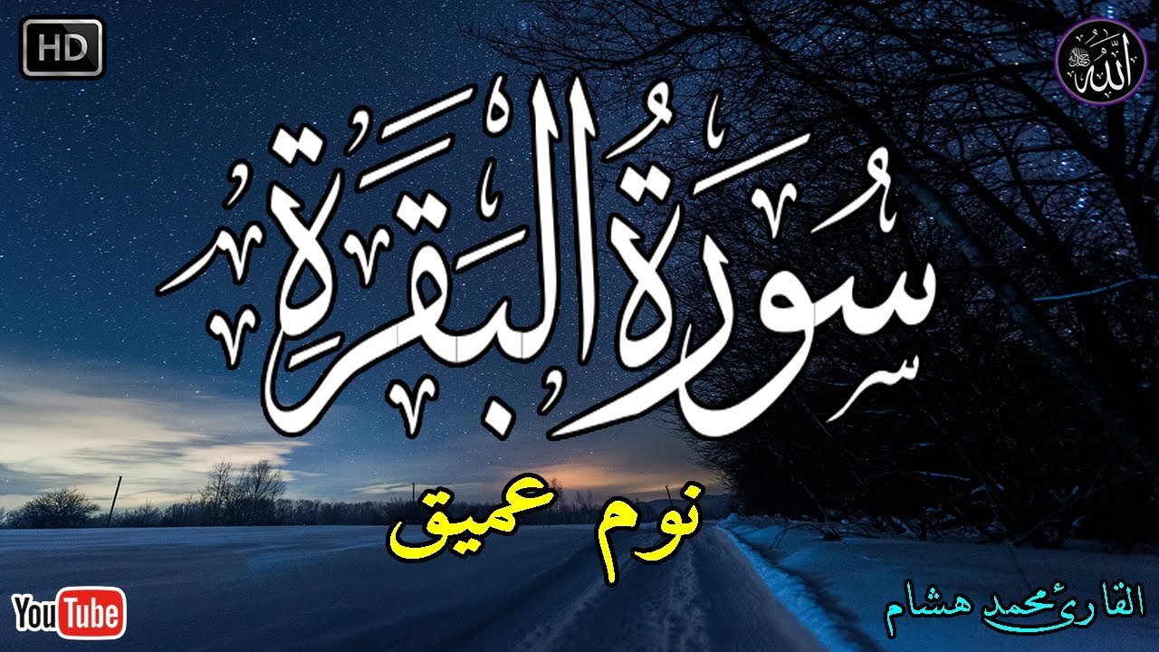 سورة البقرة طاردة الشياطين💚 بصوت هادئ ومريح جدا جدا 💚💤تلاوة هادئة للنوم والراحة النفسية 😴