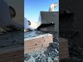 Se quedó pegado el barrote