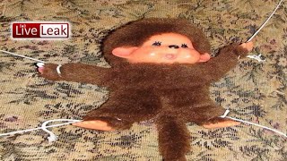 A Doohicky Compilation A Schizogram Compilation Part 3 Industrial Madness