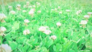 Avcılar Sahil Parki