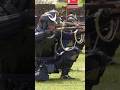 Samurai Snipers
