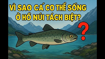 Vì sao cá có thể sống ở hồ núi tách biệt?