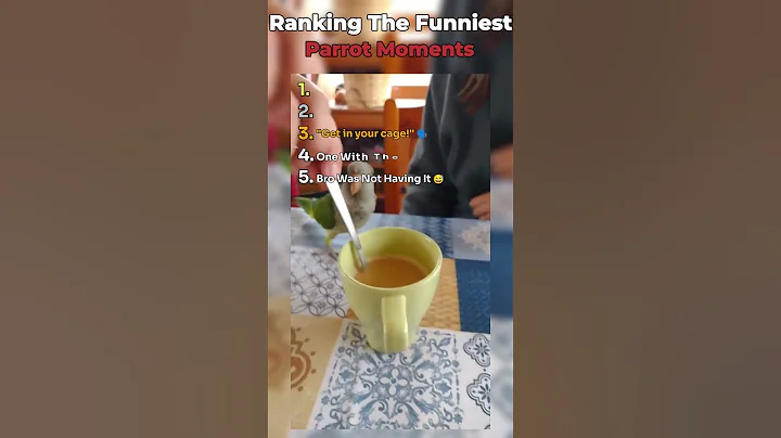 Ranking The Funniest Parrot Moments...