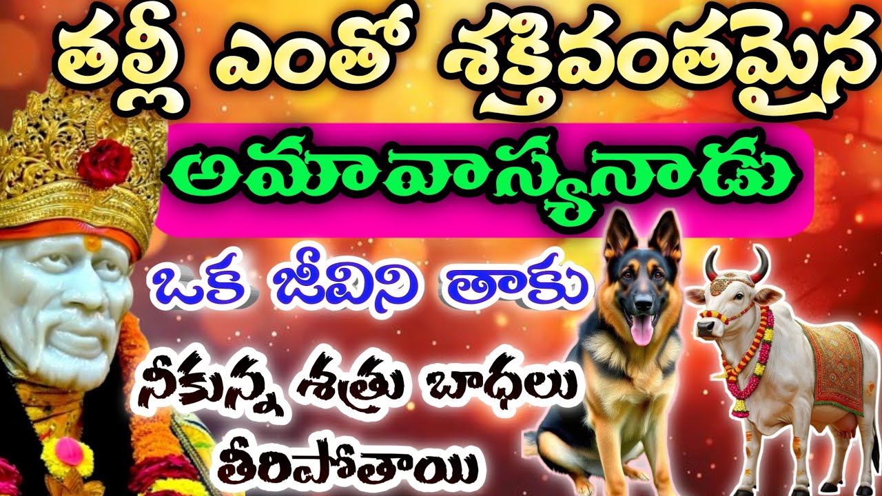 తల్లీ ఎంతో శక్తివంతమైన అమావాస్యనాడు ఒక జీవిని తాకు నీకున్న శత్రు బాధలు తిరిపోతాయి/Sai Mahatyam