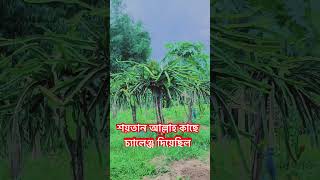 শয়তান আল্লাহ কাছে চ্যালেঞ্জ দিয়েছিল#islamic #video #bangla #mizanur_rahman_azhari