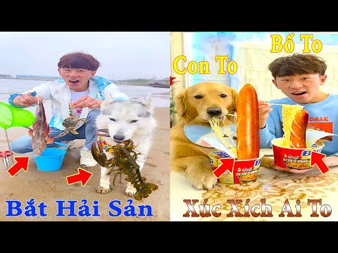 Thú Cưng TV | Gia Đình Gâu Đần #26 | Chó Golden thông minh vui nhộn | Pets funny cute dog