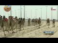 الشوط 2 الخنجر الفضي القرم لـ محمد الحزمي قناص علي العامري 7 25 51