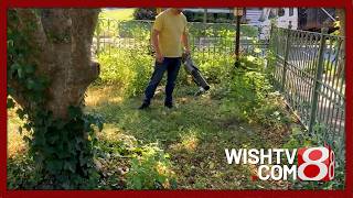 Consumer Reports shares top battery-powered yard tools Wealth