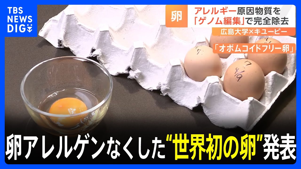  Apple、iPhoneで撮影した「卵1ダース」のビデオを公開