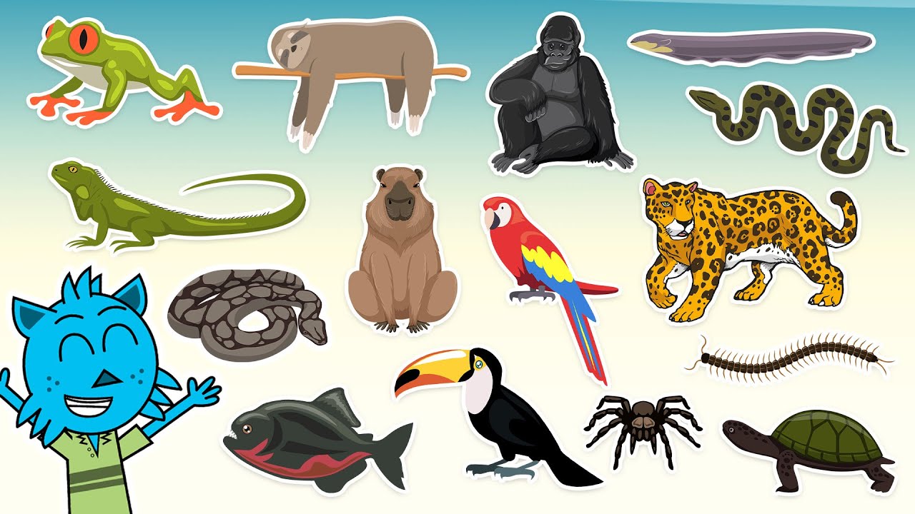 Ventaglio A Mano In Plastica Per Bambini – Tema Animali Del Bosco, Multicolore, Per Festa E Campeggio - Foto 4