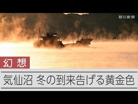 冷え込んだ朝に現れた気嵐(けあらし) 気仙沼で冬を告げる幻想風景