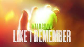 WildCrow - Like I Remember