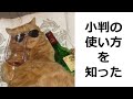 【衝撃】殿堂入りボケてがツッコミどころ満載すぎたwww【ツッコミ】【総編集】