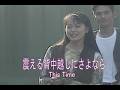 (カラオケ)震える背中越しにさよなら / This Time