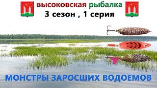 ловля щуки на колебалки на мелководье МОНСТРЫ ЗАРОСШИХ ВОДОЕМОВ