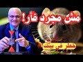 الفأر في بيتك الحقيقة اللي محدش بيقولها كل حاجة عن الفئران في البيت أخطار حلول صدمة