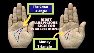 Money Triangle v/s The Great triangle | Most Auspicious Sign for Wealth Money | Palmistry