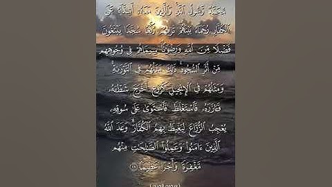سورة الفتح آية 29 بصوت الشيخ ياسر الدوسري♥♥