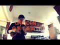ユニコーン - 命果てるまで(ウクレレカバー)