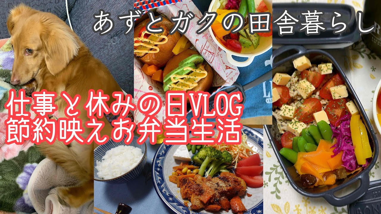 [田舎暮らしアラフィフ］仕事と休みの日Vlog//平日お弁当/節約生活/日常/暮らし