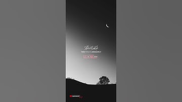 ويل لكل أفاك أثيم | سورة الجاثية | القارئ ياسر الدوسري
