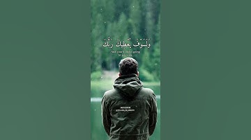 ( ولسوف يعطيك ربك فترضى )  تلاوة مميزة للقارئ انس الشافعي