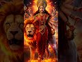 माता रानी के भजन 🙏#song #matarani #petshub #sorts 🙏🙏🌺🌺